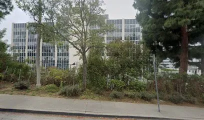 Naissan Wesley, MD