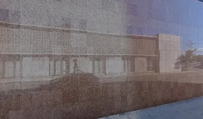 Oko-V