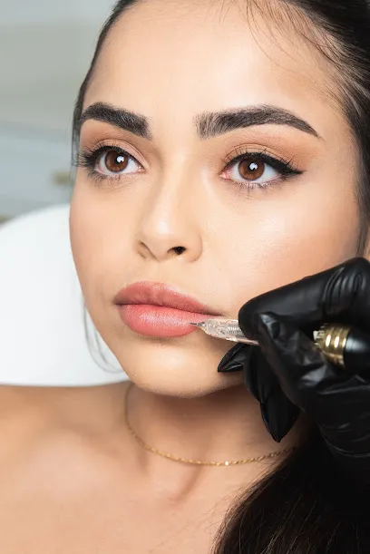Omnia Permanent Makeup Studio Academy
