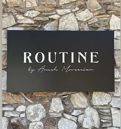ROUTINE by Anush Movsesian
