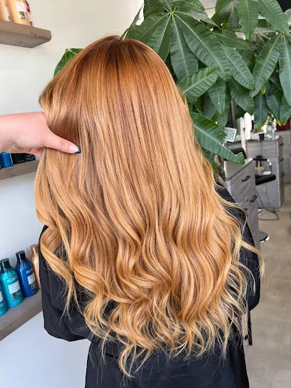 The Beauty Room La